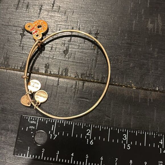 Minnie Donut Alex & Ani Bracelet Disney Sweet Dessert Rose Gold Bangle Charm - Picture 6 of 7